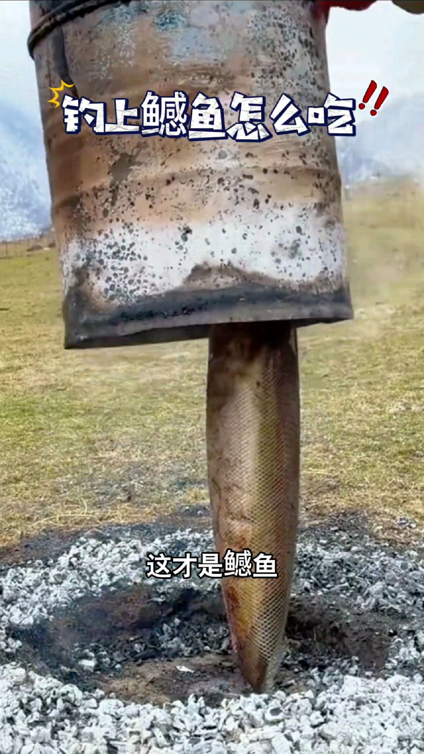 这才是鳡鱼正确的打开方式吧#我的钓鱼日记