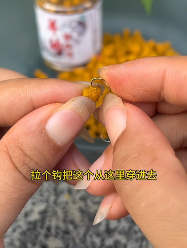 钓黄辣丁怎么选饵?选饵时要注意什么?邓大师现场讲解!