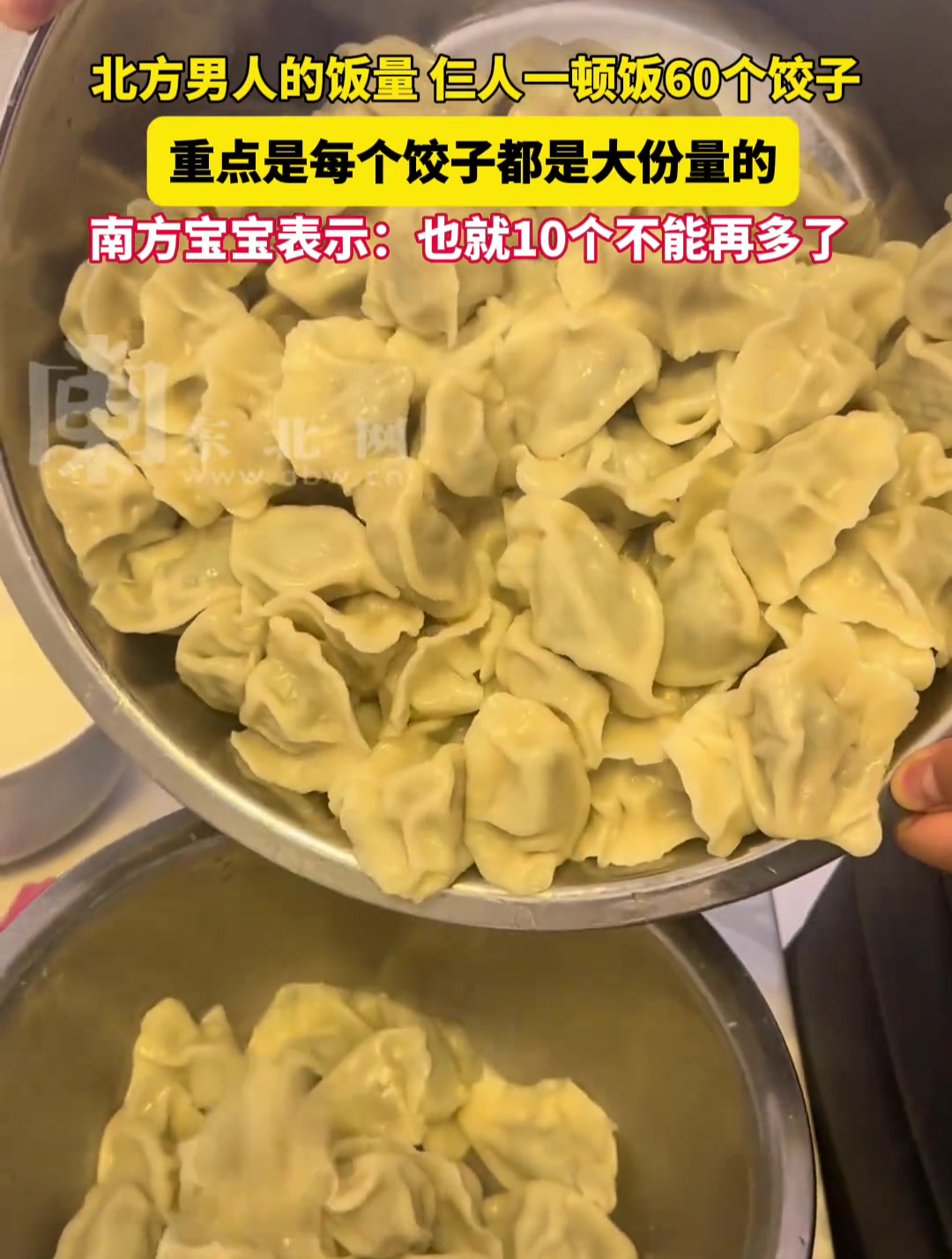 北方男人的饭量,仨人一顿饭60个饺子,重点是每个饺子都是大份量的,南方宝宝表示:也就10个