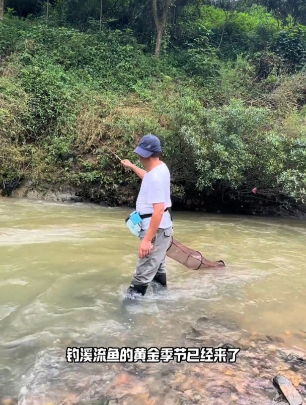 南极磷虾粉和红虫蚯蚓粉合成的面筋饵,上鱼效果怎么样?