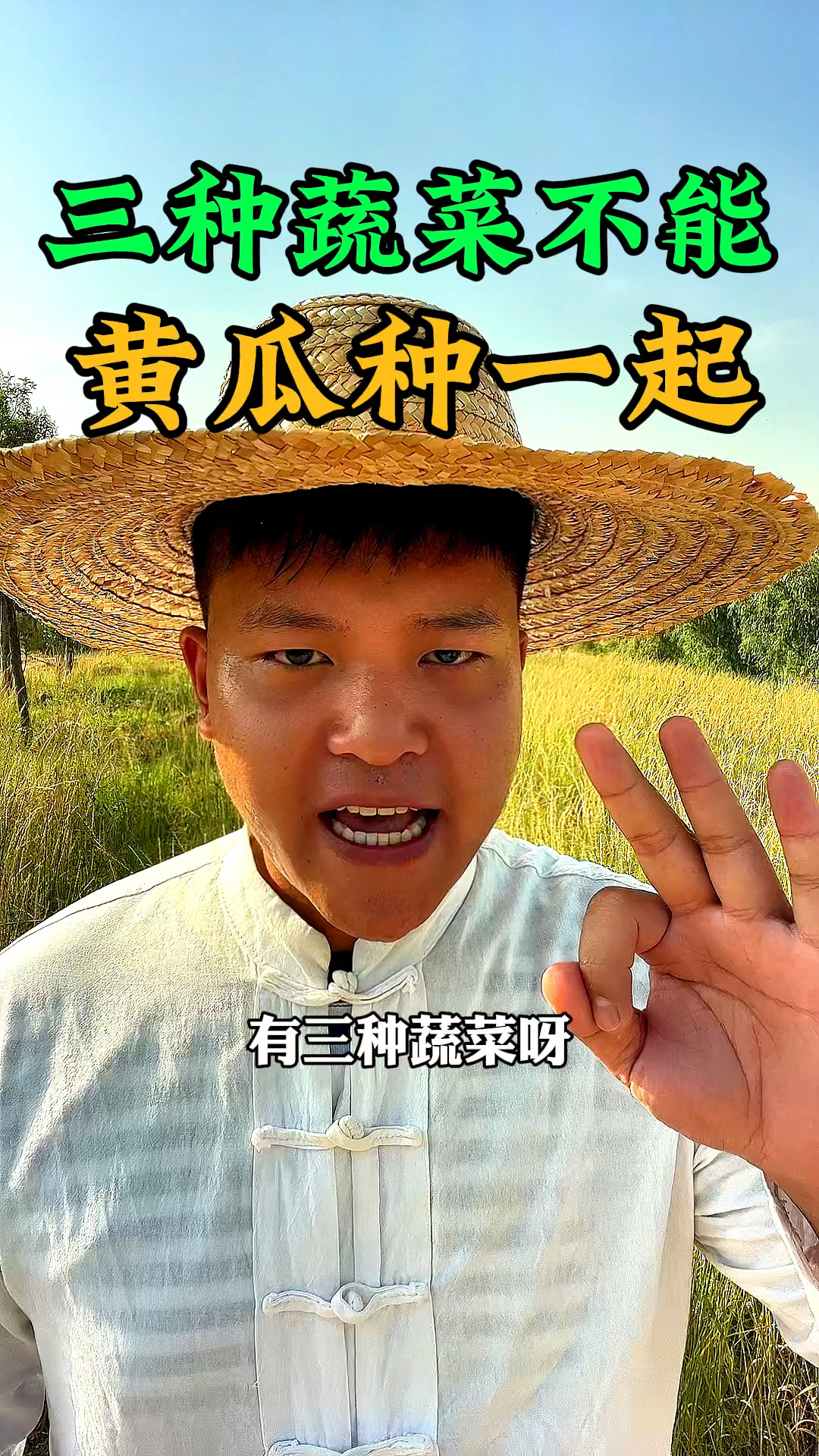 有三种蔬菜,不能和黄瓜这种作物种植在一起