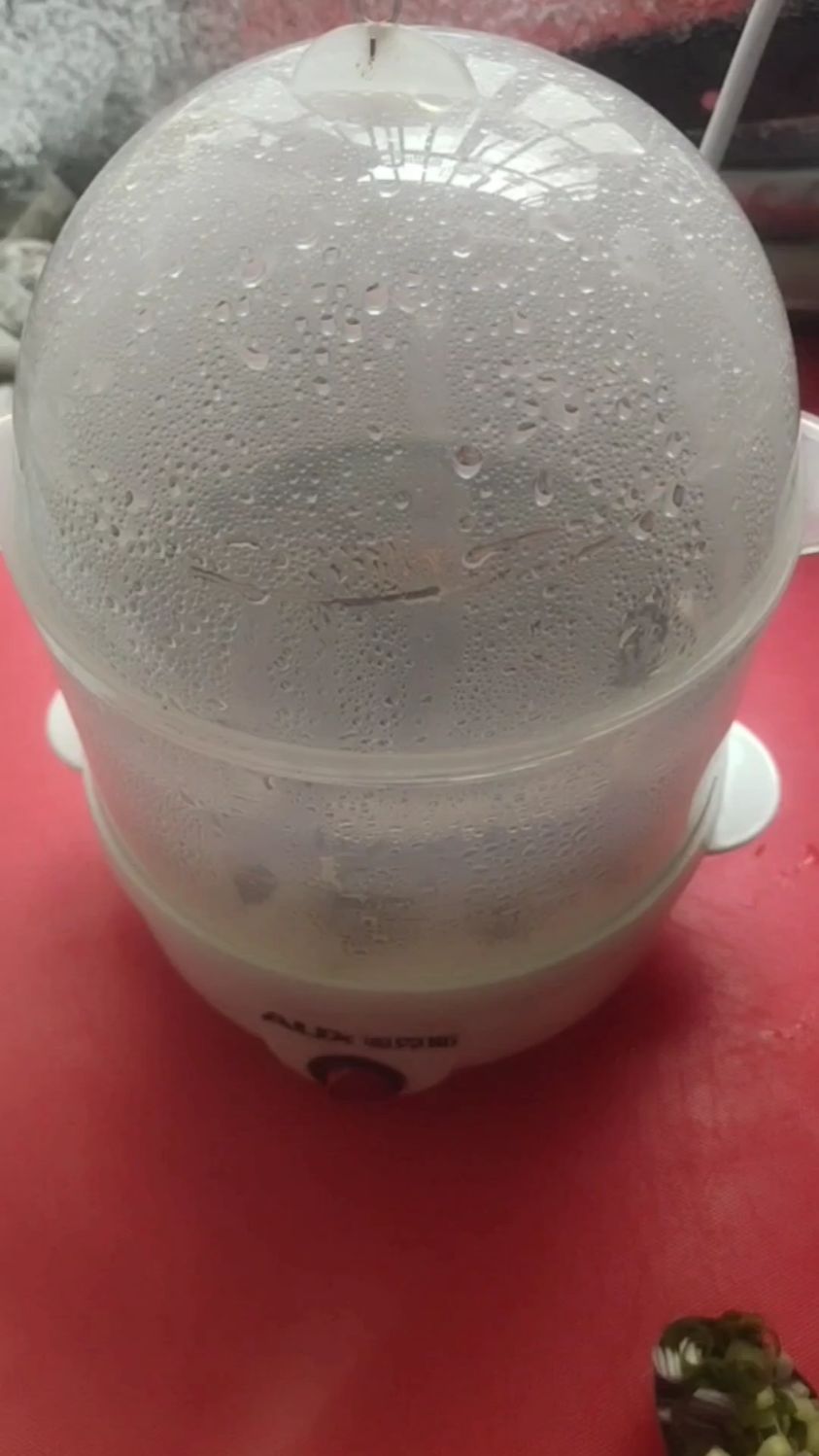 用蒸蛋器做一百道菜之:18道“牛肉丸片蒸红炆肉”