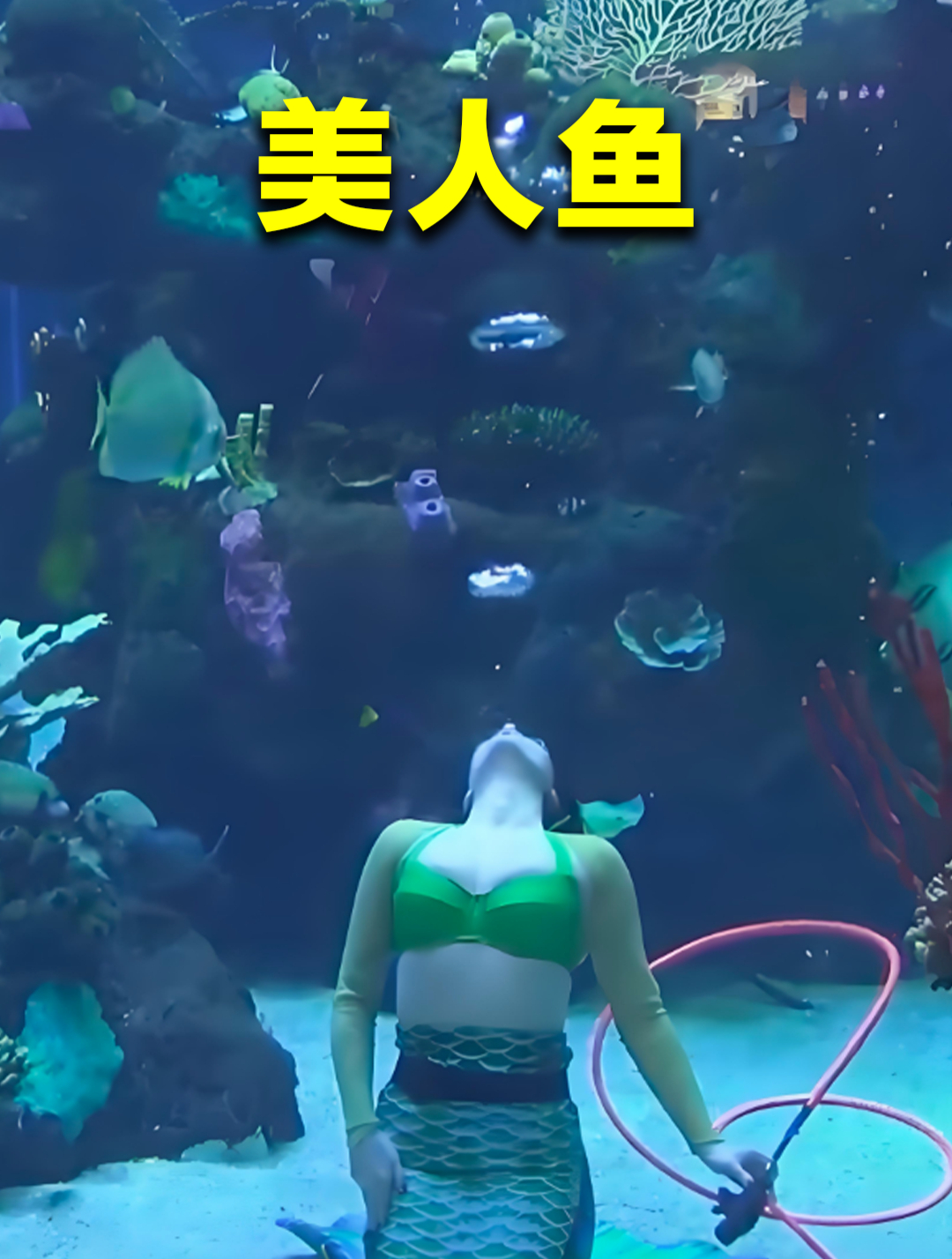 世界上最会喷的“美人鱼”,水下一分钟喷48个圈,创造吉尼斯纪录
