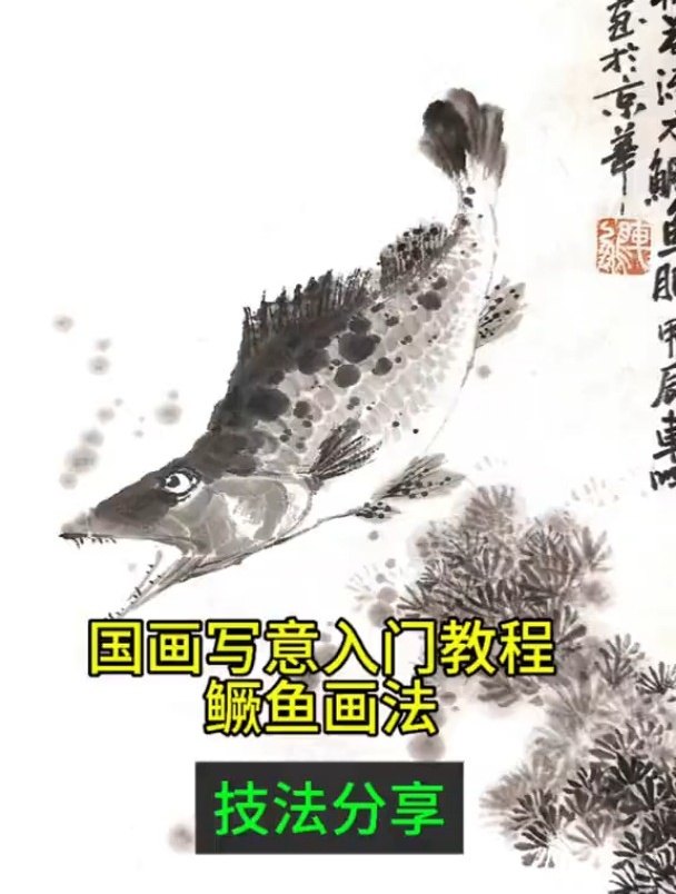 国画写意入门教程,鳜鱼画法,酣畅淋漓得笔触感