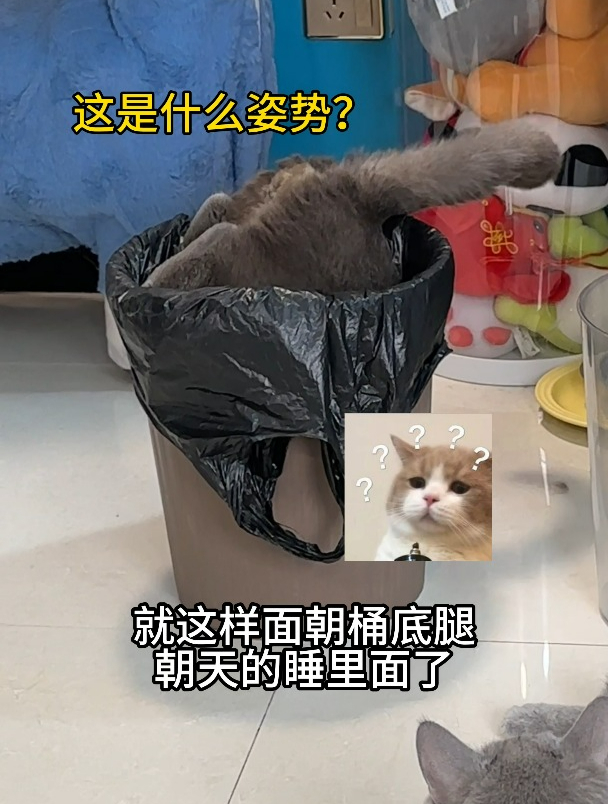 要不是小老二这一脚,汤圆指定在桶里过夜了~
