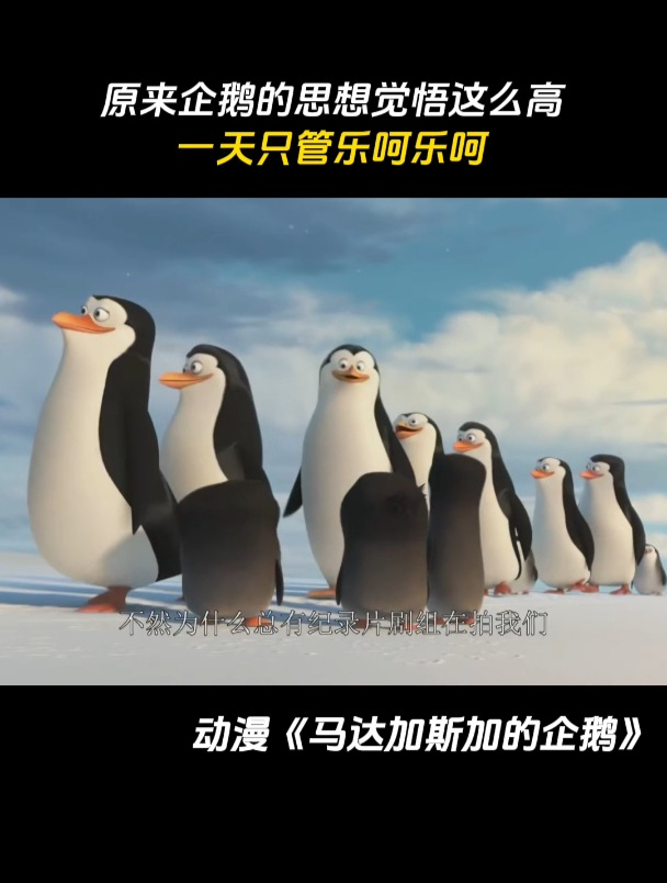 马达加斯加的企鹅:原来企鹅的思想觉悟这么高一天只管乐呵乐呵