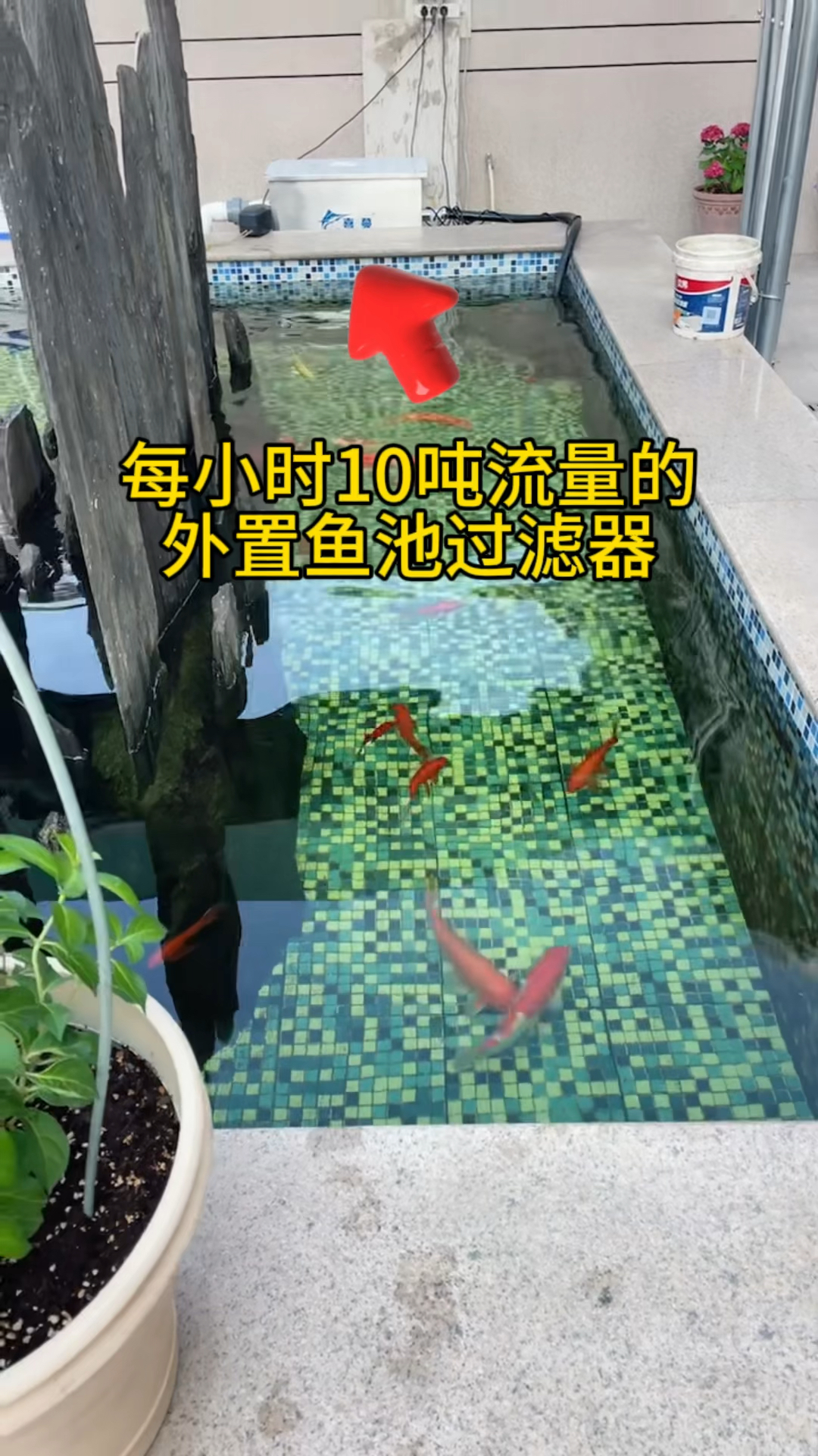 3千拿下的304不锈钢外置鱼池过滤器