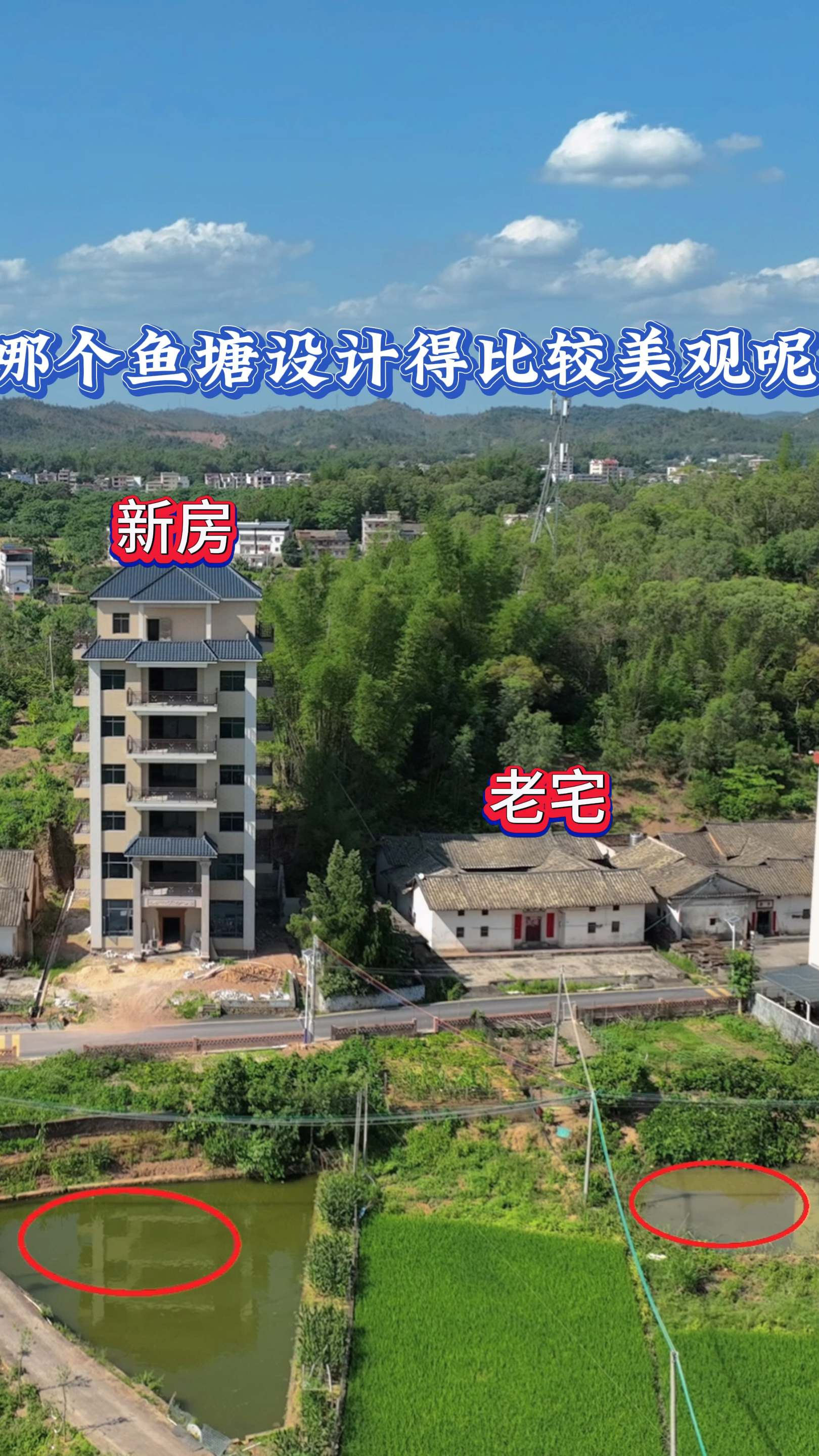 哪个鱼塘设计得比较美观呢?