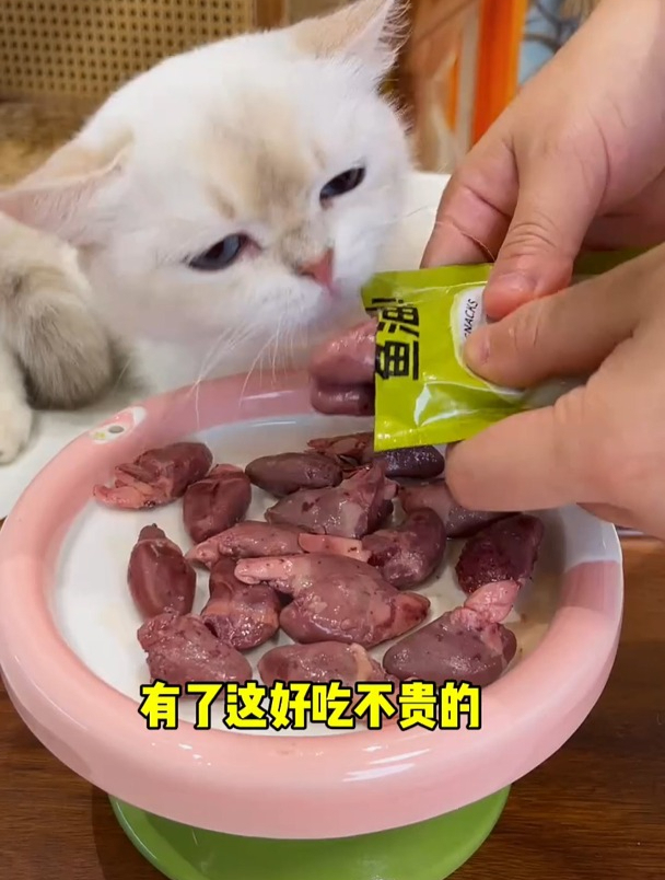 猫咪吃了这个鱼油鸡心,根本不需要买营养品和小零食了,爱吃