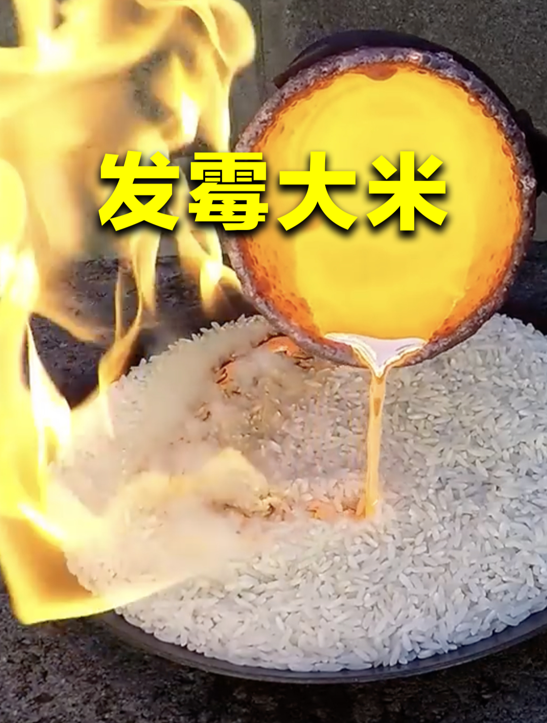 1200℃的熔岩,倒在发霉的大米上,会发生什么?