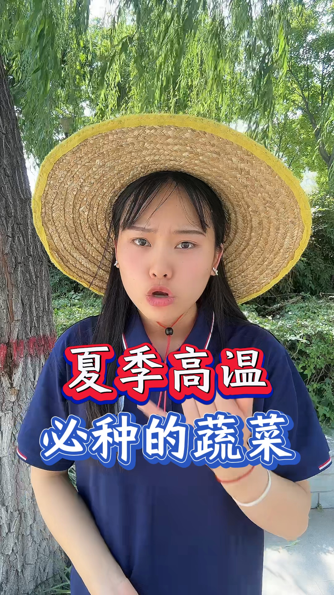 夏季高温必种的蔬菜