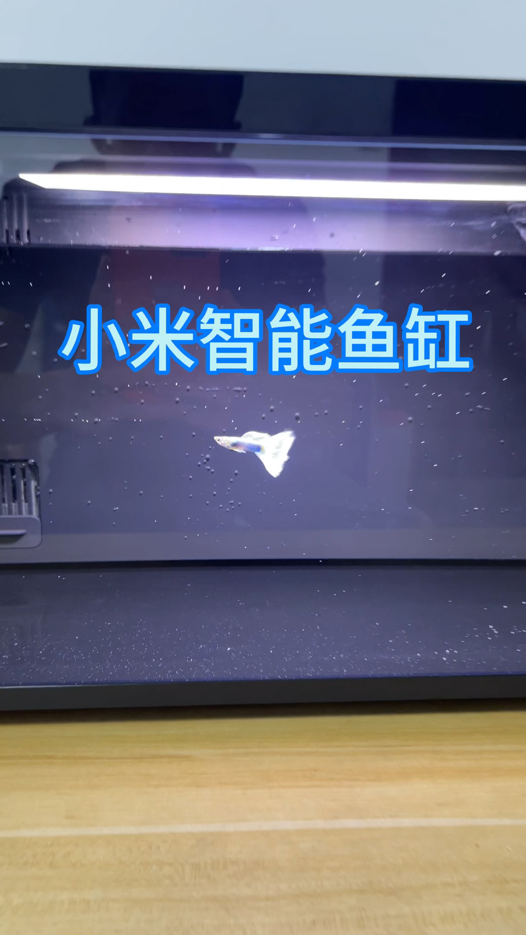 老婆给买的小米智能鱼缸,看我每天喂鱼太辛苦了。应该如何造景呢
