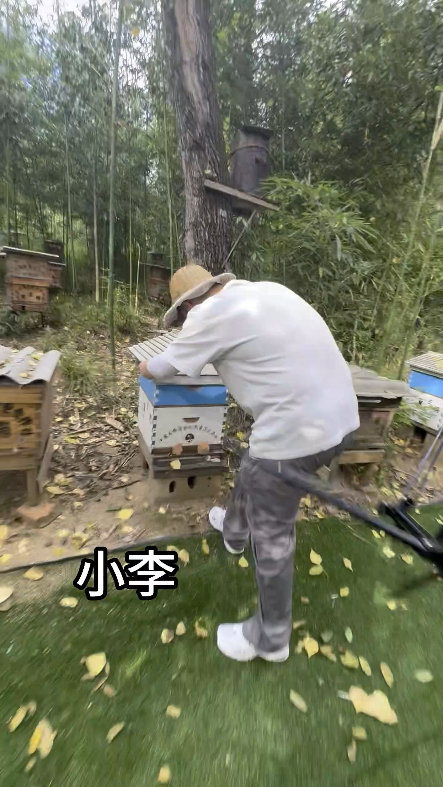 蜂蜜颜色深的好?还是浅的好?蜂蜜颜色为什么有深有浅?