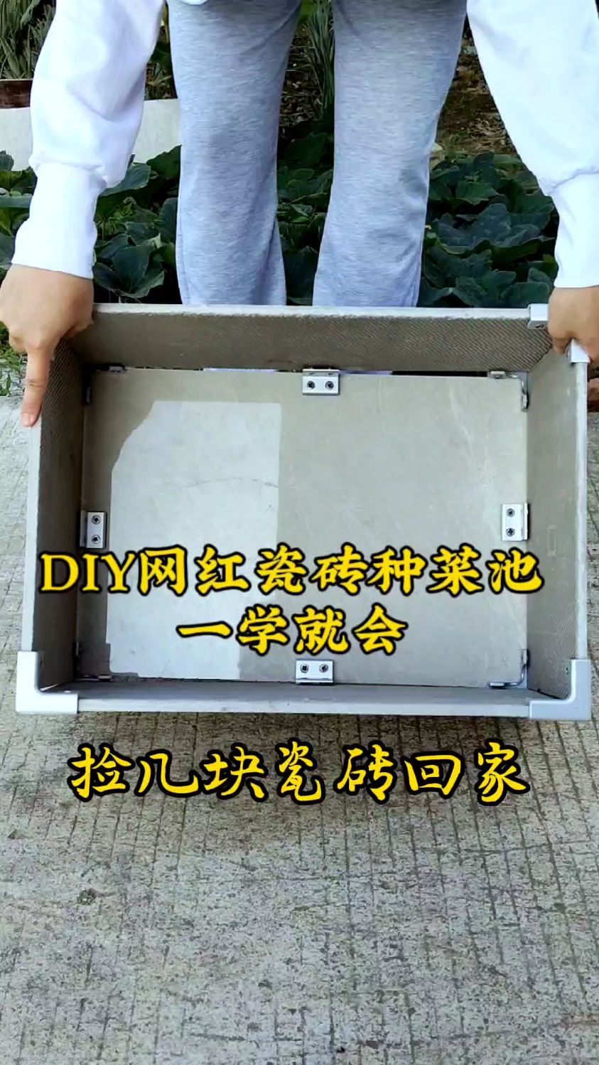 变废为宝DIY网红瓷砖种菜池,一学就会!
