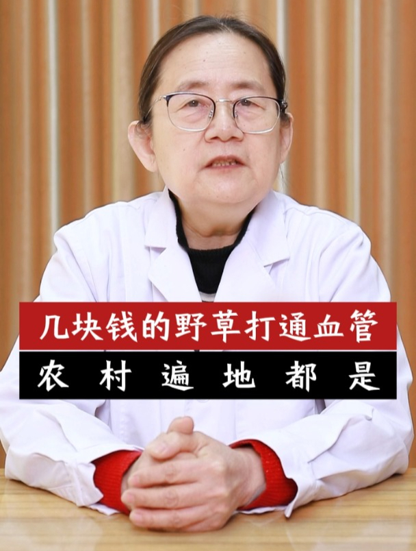 农村遍地不起眼的薤白,是中医改善血管堵塞的好帮手!