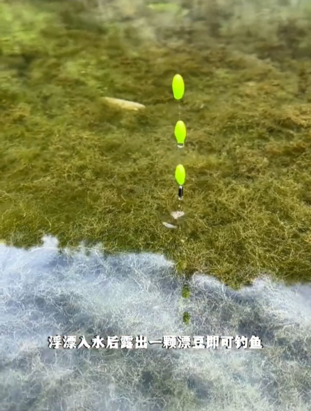 号称天花板的溪流钓线组好在哪?除了吃口清晰,鱼钩轻刺鱼更快