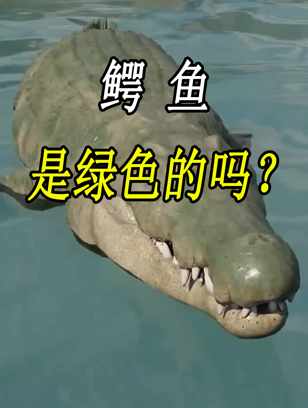 鳄鱼真的是绿色的吗?如果不是!究竟是什么原因导致的?