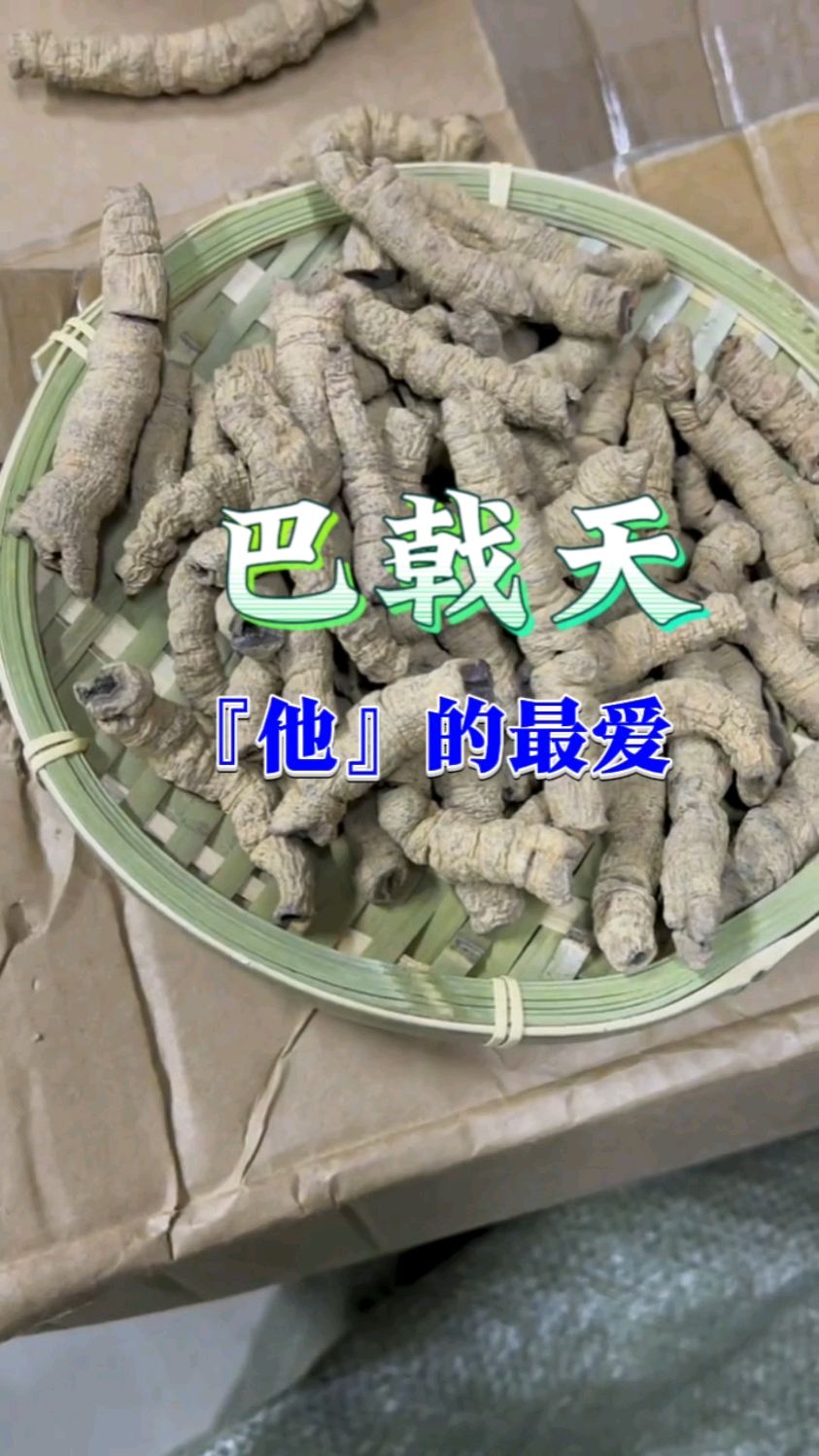 巴戟天即可以泡茶又可以泡酒,你认识它吗?