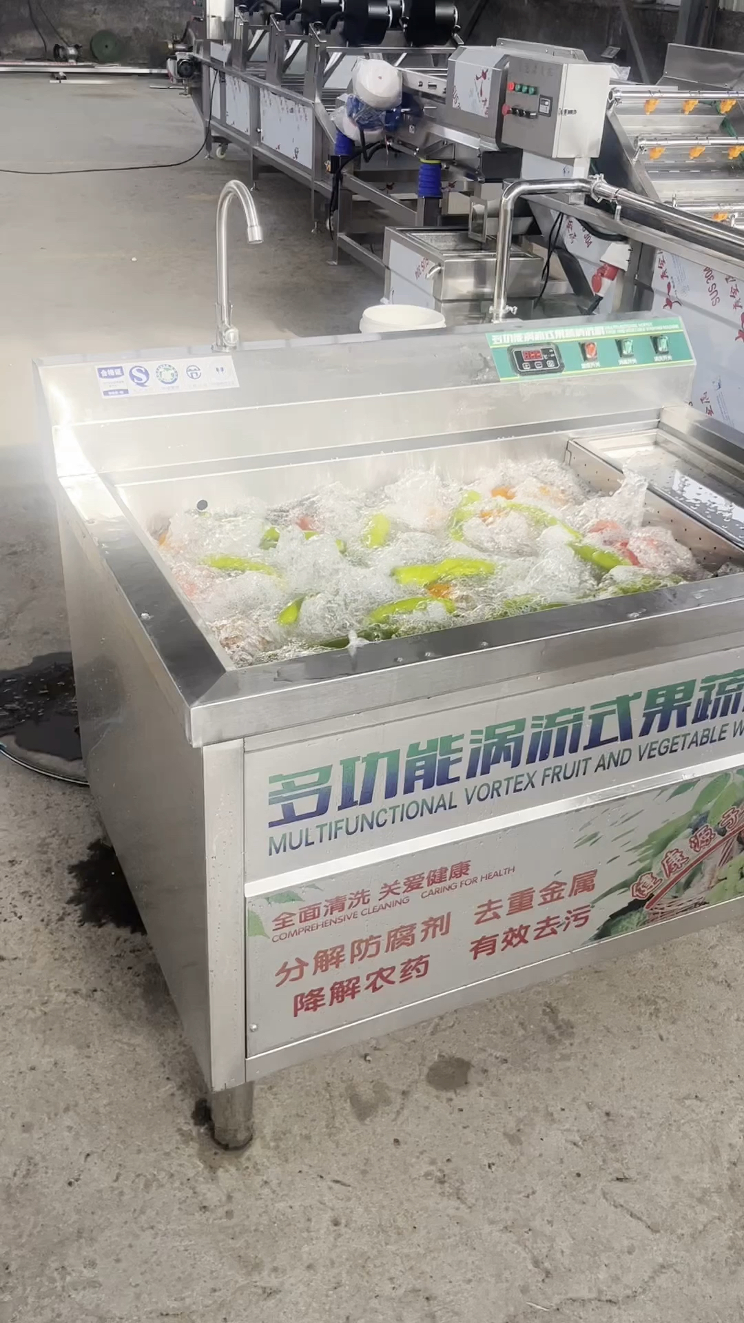 小型商用洗菜机 酒店食堂用蔬菜清洗机
