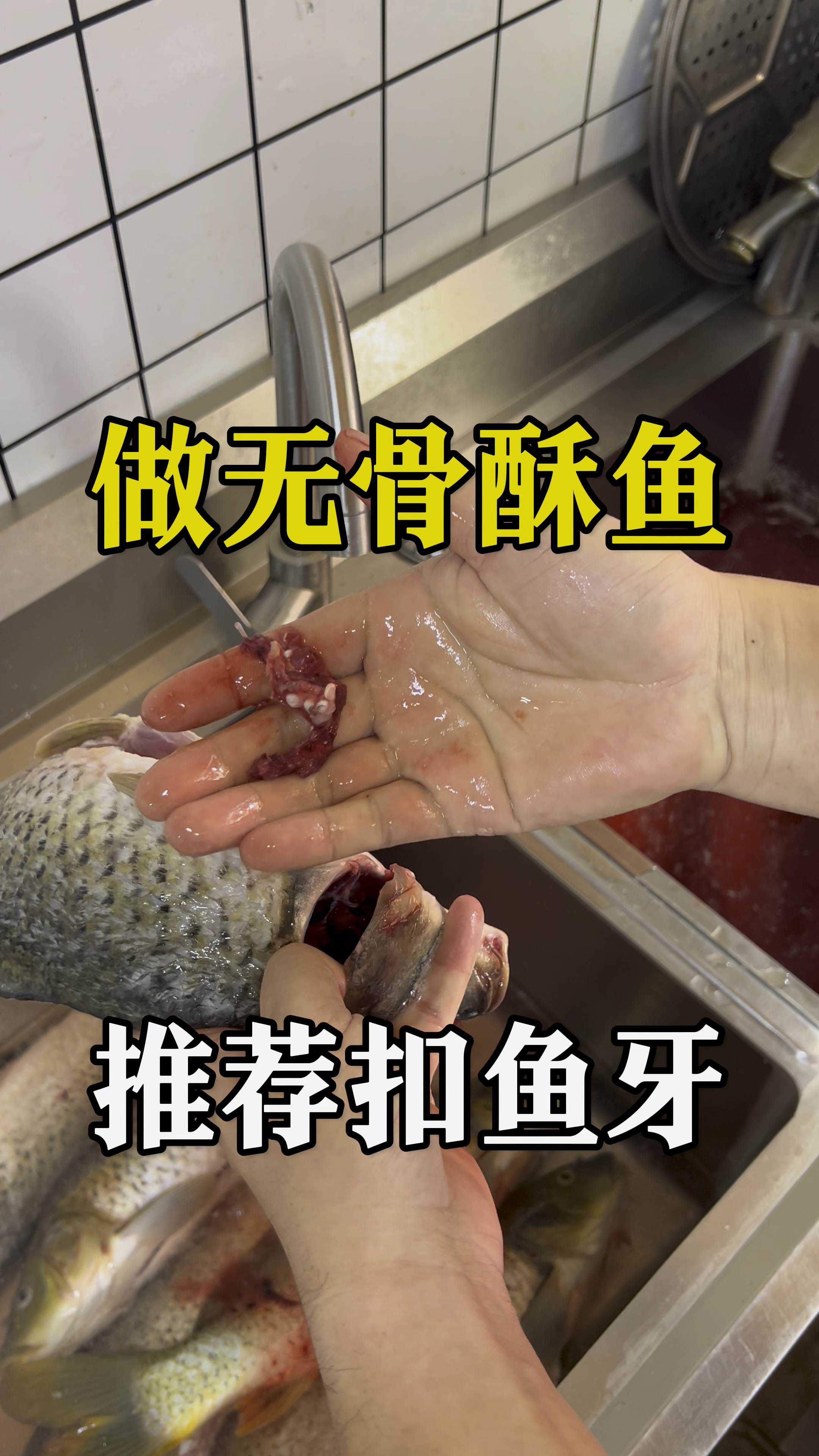 制作水晶酥鱼是要扣掉鱼牙的,鱼牙教育的腥骨也叫咽骨