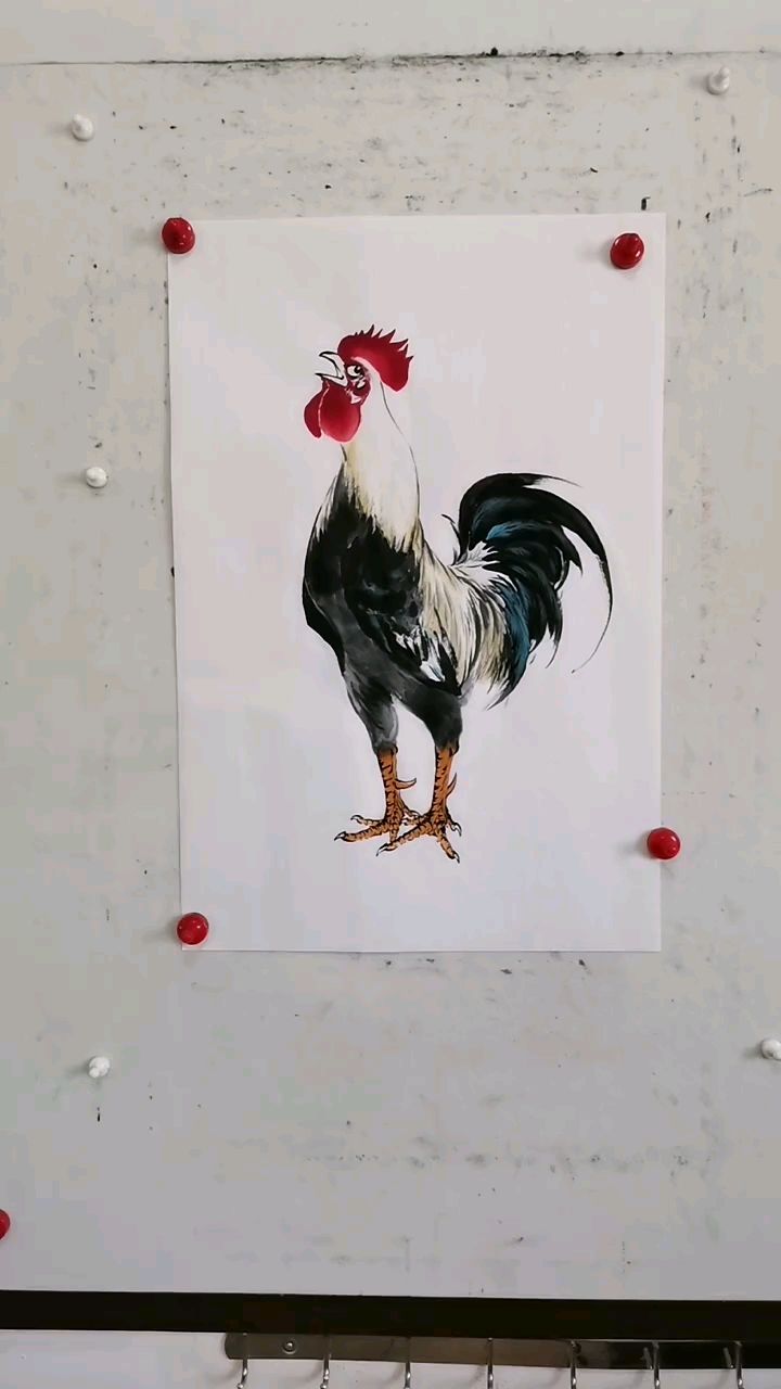 王兴民国画公鸡:水墨写意大公鸡