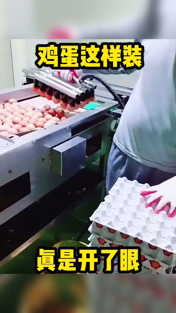 鸡蛋这样装,真是开了眼。