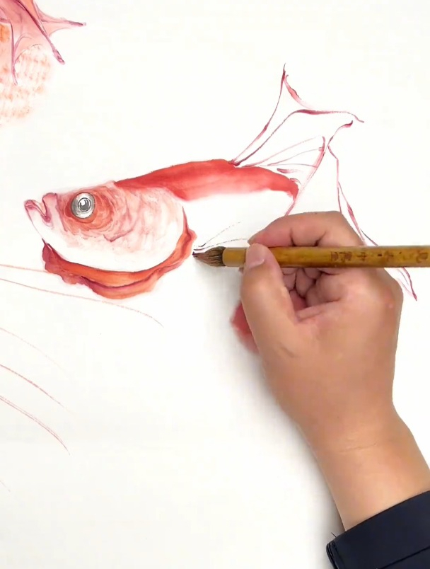 斗鱼,感受国画的意境之美