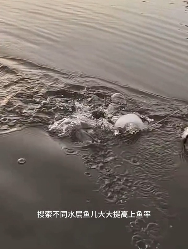 今年最流行的手竿多尾鱼钓法有钓友尝试过吗?中鱼率高吗?