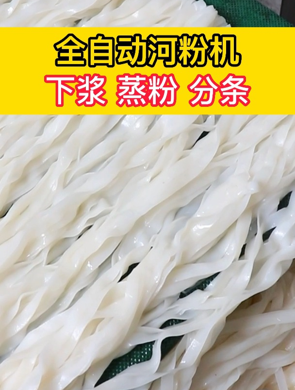 全自动河粉机,自动下浆、蒸粉、分条
