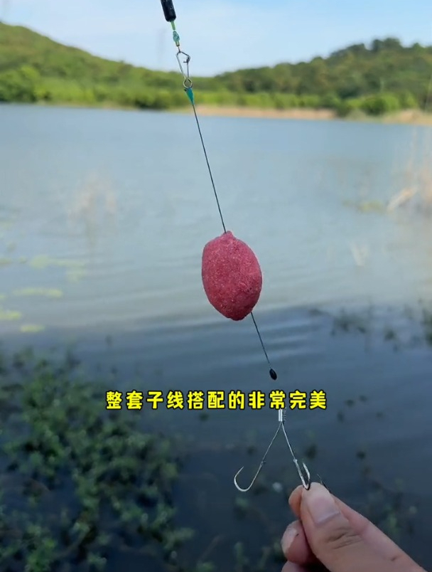 手竿钓鲢鳙只要换个鱼钩鱼获就能高10倍?多叉鱼钩真的这么神奇?
