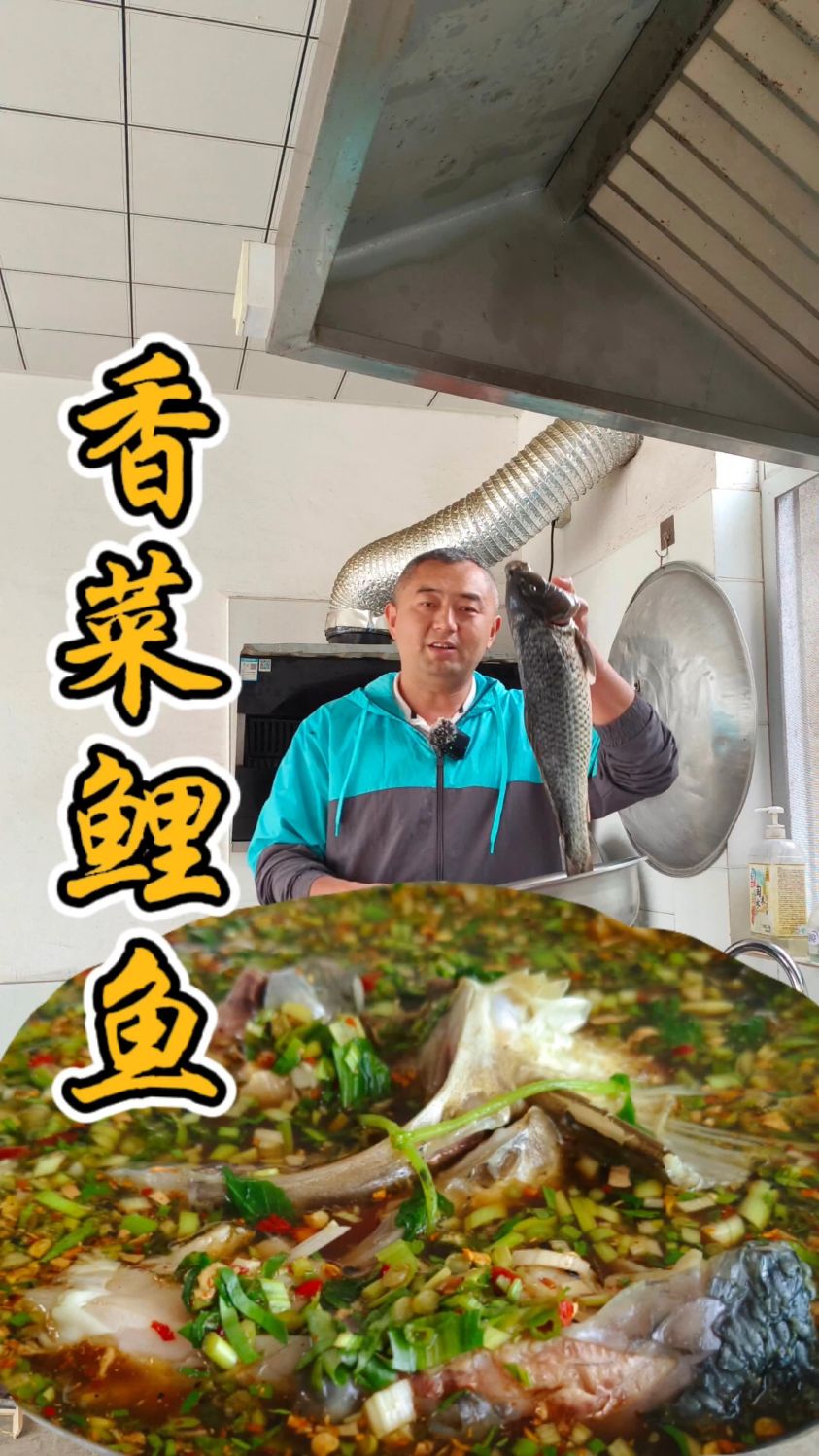 有着地方特色味道的香菜鲤鱼大家吃过吗