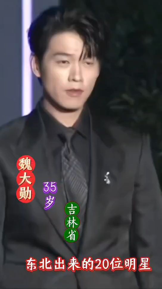 盘点东北走出来的20位明星,男的帅女的靓,各有各的风格。