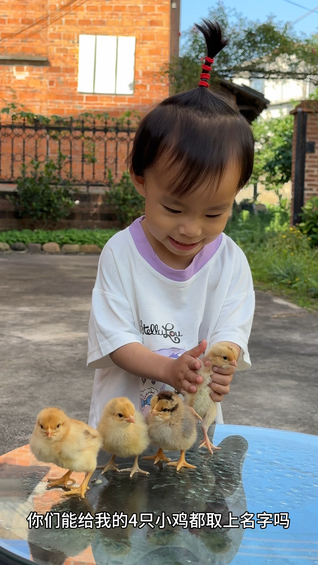 我有四只可爱的小鸡,你们能帮我给四只小鸡取个名字吗?