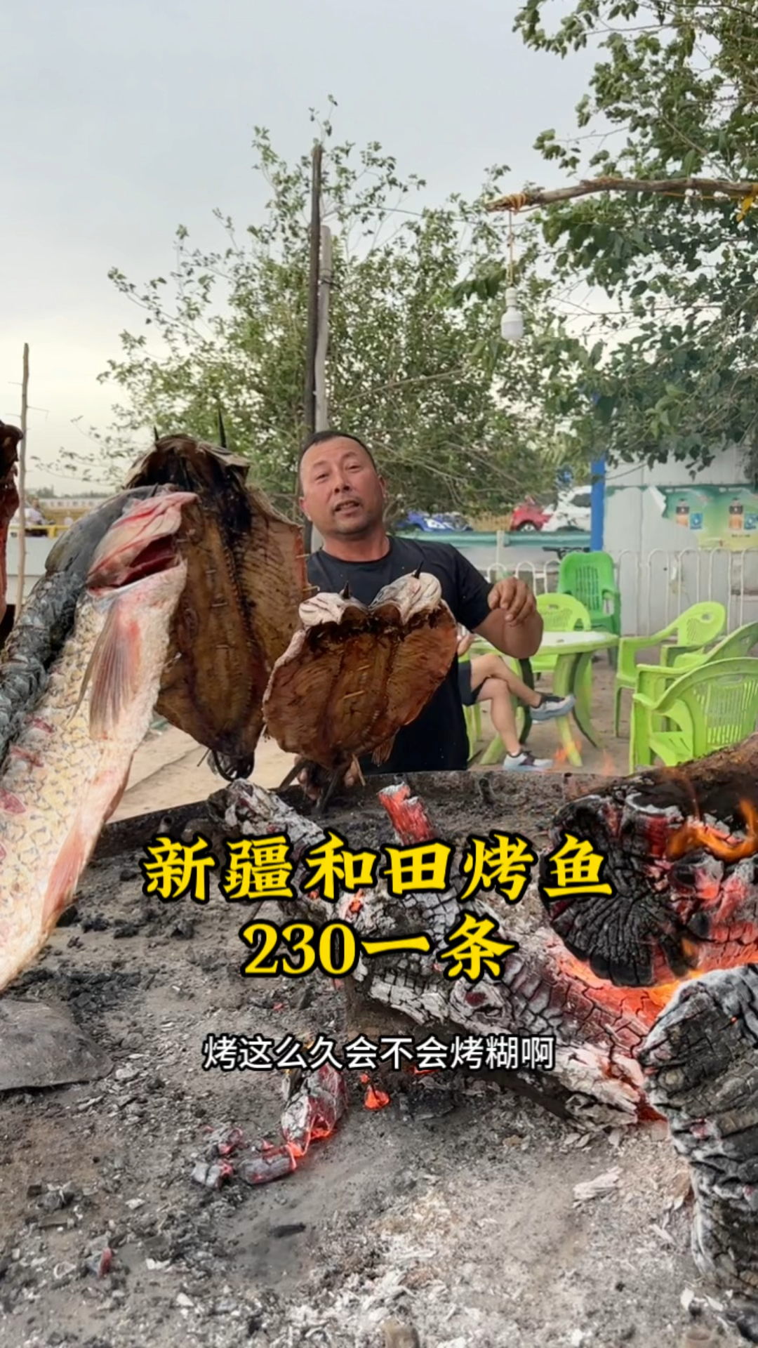 新疆230一条烤鱼