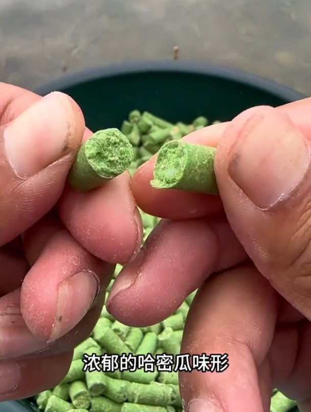 颗粒挂法很多,但不是每个都好刺鱼,老钓友常用这方法!