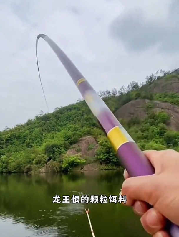 据说更适合夏季钓鲤鱼草鱼的颗粒饵好用吗?有没有钓友用过?