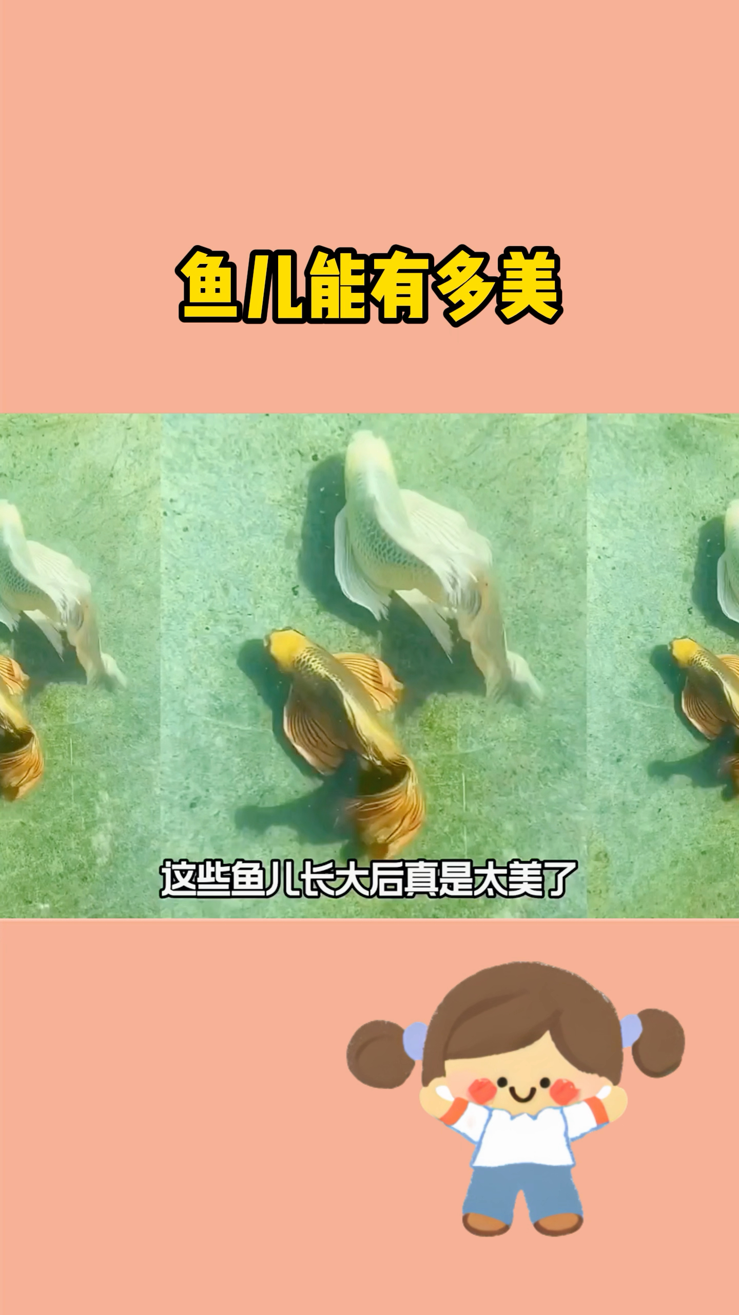 你知道鱼儿能有多美吗