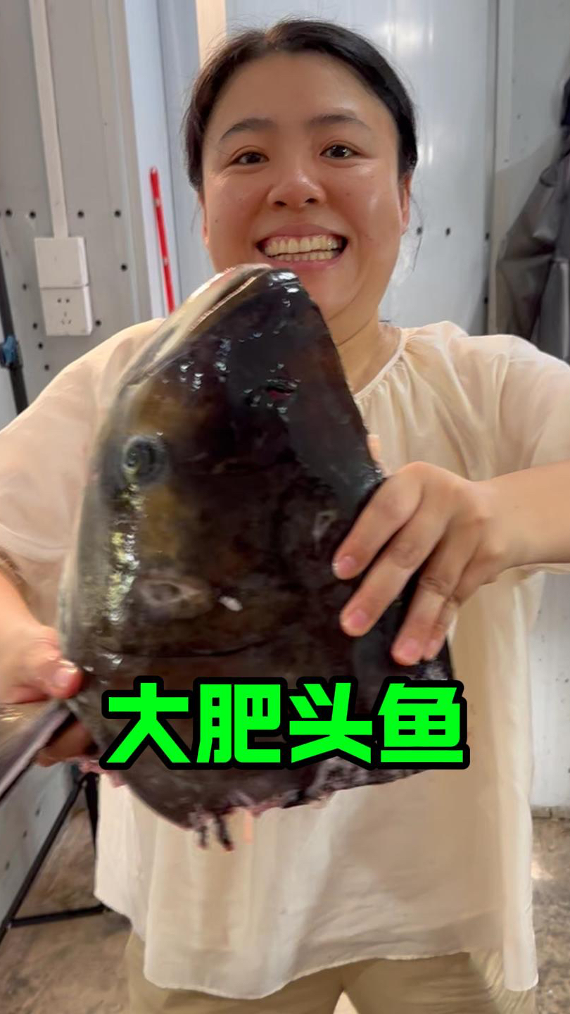 今天这个大胖头鱼太香了