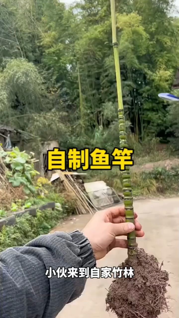 用竹子制作迷你鱼竿