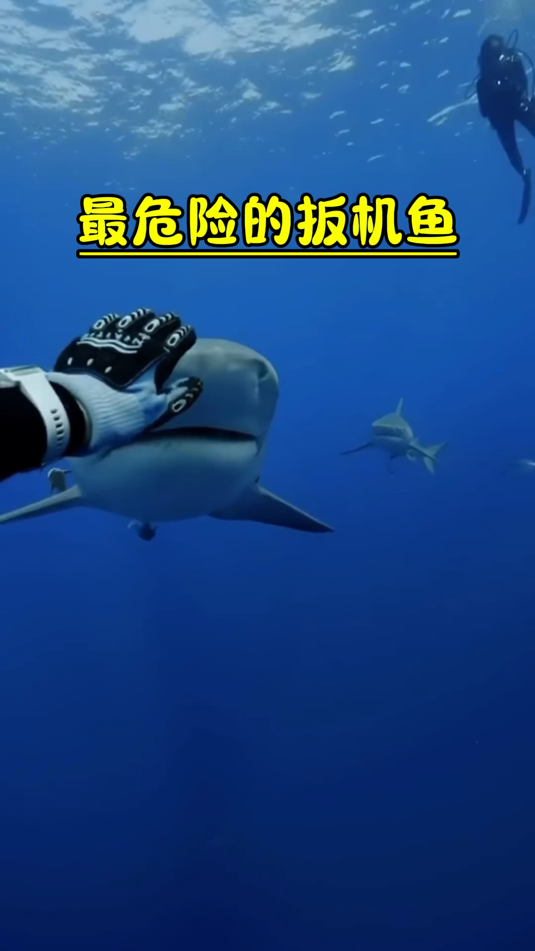 海底的一种危险鱼