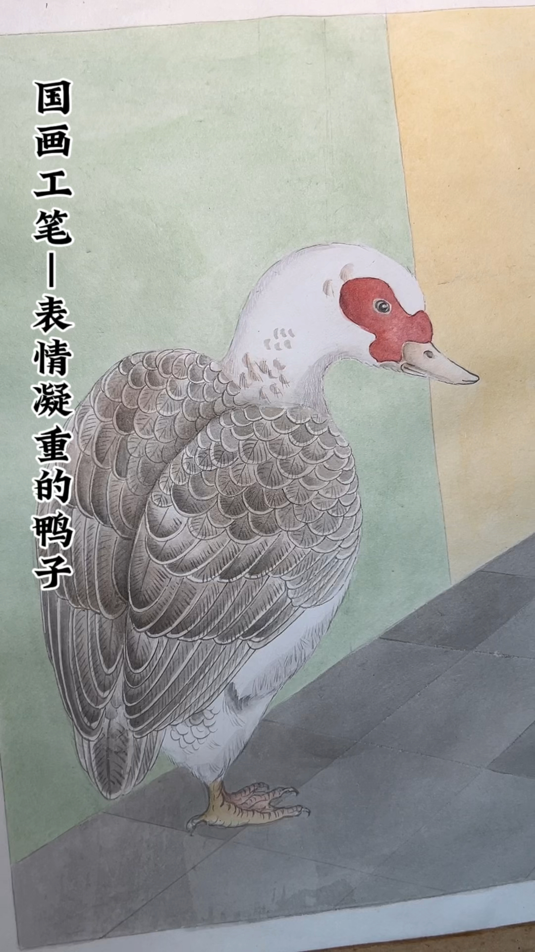 国画工笔绘画过程,一只表情凝重的鸭子