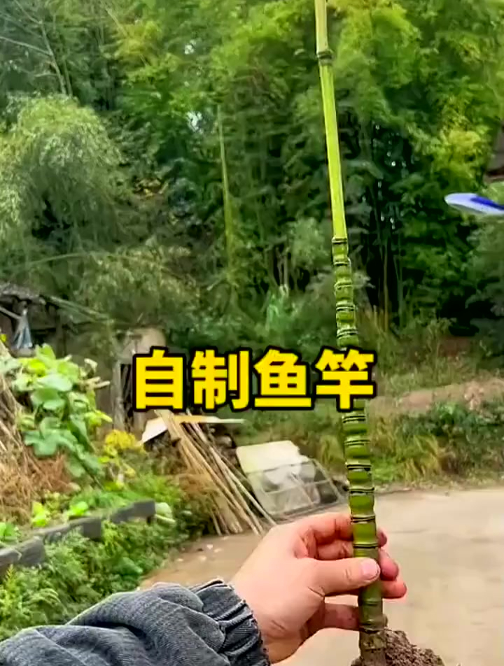 小伙用竹子自制的鱼竿