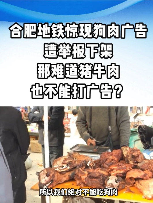合肥地铁惊现狗肉广告,遭举报后火速下架(六)
