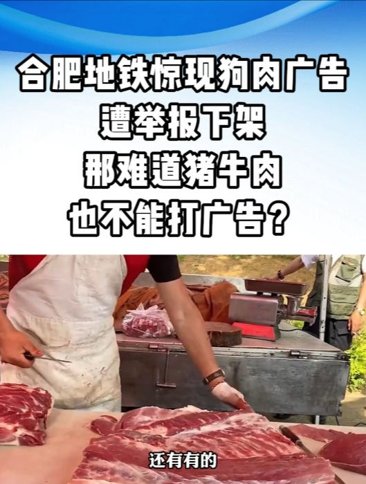 合肥地铁惊现狗肉广告,遭举报后火速下架(四)