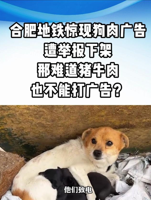 合肥地铁惊现狗肉广告,遭举报后火速下架(二)