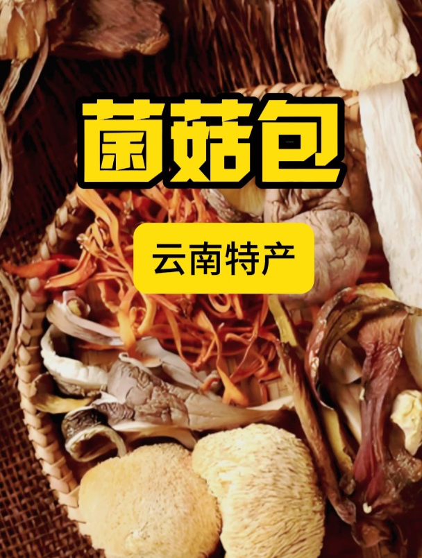 到云南必尝美味,野生菌菌菇包,煲汤就要这个味