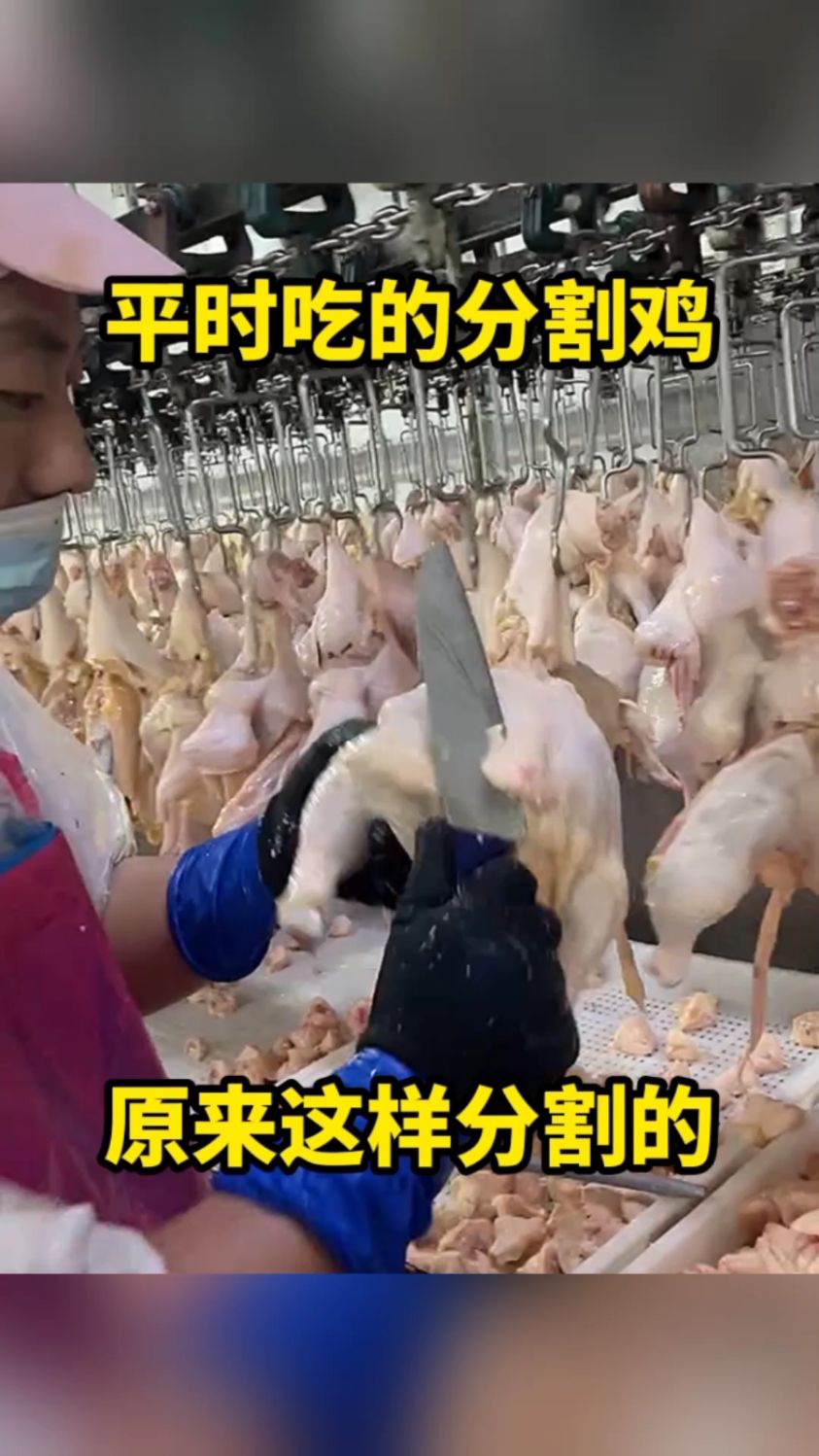 平时吃的分割鸡,原来这样分割的!