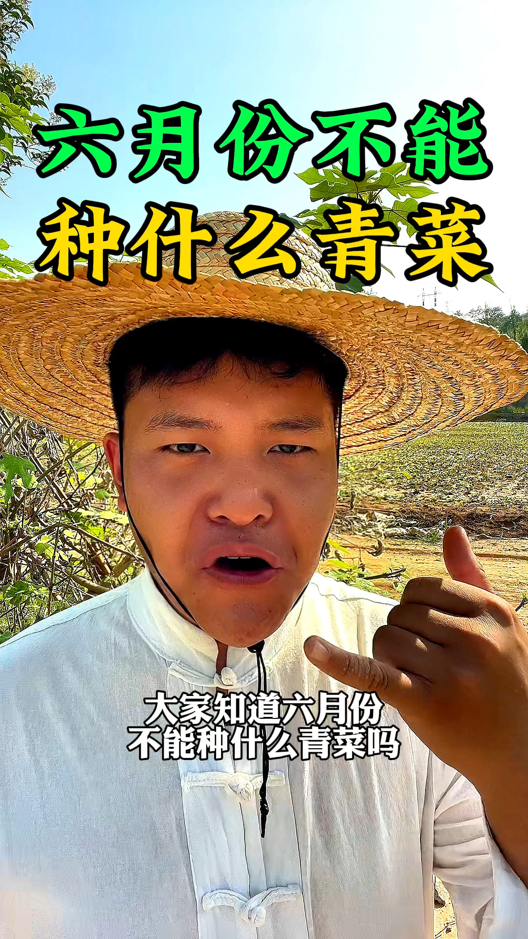 大家知道六月份不能种植什么青菜吗