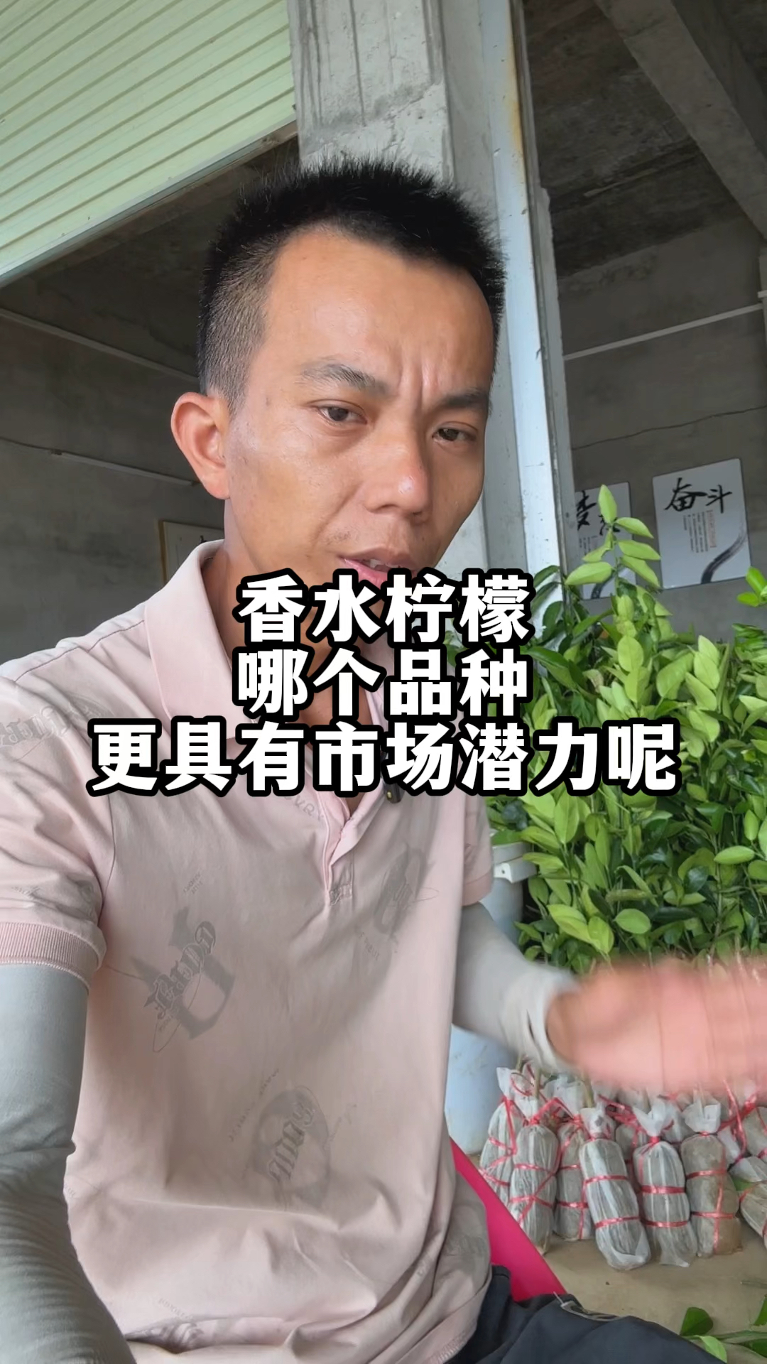 香水柠檬哪个品种更具有市场潜力呢
