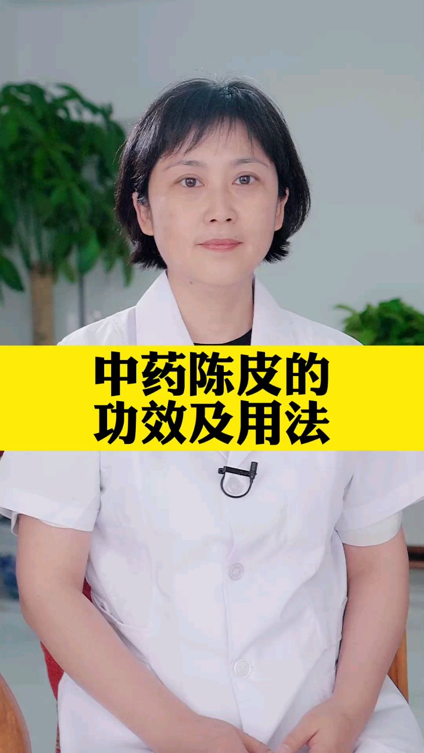 中药陈皮的功效及用法